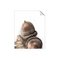 Picture of Fallen Acorns _GroupedProduct_Rectangle_Portrait_Photography _GroupedProduct_Rectangle_Portrait_Unframed_Print_Only_