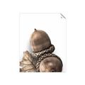 Picture of Fallen Acorns _GroupedProduct_Rectangle_Portrait_Photography _GroupedProduct_Rectangle_Portrait_Unframed_Print_Only_