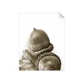 Picture of Fallen Acorns _GroupedProduct_Rectangle_Portrait_Photography _GroupedProduct_Rectangle_Portrait_Unframed_Print_Only_