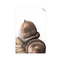 Picture of Fallen Acorns _GroupedProduct_Rectangle_Portrait_Photography _GroupedProduct_Rectangle_Portrait_Unframed_Print_Only_