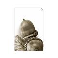 Picture of Fallen Acorns _GroupedProduct_Rectangle_Portrait_Photography _GroupedProduct_Rectangle_Portrait_Unframed_Print_Only_