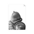 Picture of Fallen Acorns _GroupedProduct_Rectangle_Portrait_Photography _GroupedProduct_Rectangle_Portrait_Unframed_Print_Only_