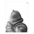 Picture of Fallen Acorns _GroupedProduct_Rectangle_Portrait_Photography _GroupedProduct_Rectangle_Portrait_Unframed_Print_Only_