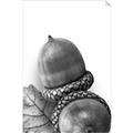 Picture of Fallen Acorns _GroupedProduct_Rectangle_Portrait_Photography _GroupedProduct_Rectangle_Portrait_Unframed_Print_Only_
