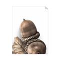 Picture of Fallen Acorns _GroupedProduct_Rectangle_Portrait_Photography _GroupedProduct_Rectangle_Portrait_Unframed_Print_Only_