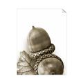 Picture of Fallen Acorns _GroupedProduct_Rectangle_Portrait_Photography _GroupedProduct_Rectangle_Portrait_Unframed_Print_Only_