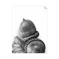 Picture of Fallen Acorns _GroupedProduct_Rectangle_Portrait_Photography _GroupedProduct_Rectangle_Portrait_Unframed_Print_Only_