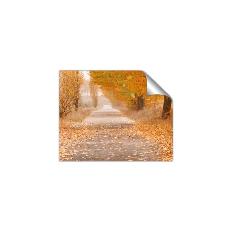 Picture of Falling Leaves  _GroupedProduct_Rectangle_Landscape_Photography _GroupedProduct_Rectangle_Landscape_Unframed_Print_Only_
