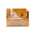 Picture of Falling Leaves  _GroupedProduct_Rectangle_Landscape_Photography _GroupedProduct_Rectangle_Landscape_Unframed_Print_Only_