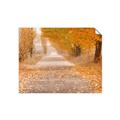Picture of Falling Leaves  _GroupedProduct_Rectangle_Landscape_Photography _GroupedProduct_Rectangle_Landscape_Unframed_Print_Only_