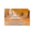 Picture of Falling Leaves  _GroupedProduct_Rectangle_Landscape_Photography _GroupedProduct_Rectangle_Landscape_Unframed_Print_Only_
