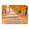 Picture of Falling Leaves  _GroupedProduct_Rectangle_Landscape_Photography _GroupedProduct_Rectangle_Landscape_Unframed_Print_Only_