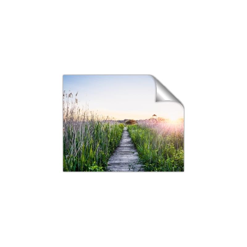 Picture of Field of Dreams   _GroupedProduct_Rectangle_Landscape_Photography _GroupedProduct_Rectangle_Landscape_Unframed_Print_Only_