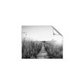 Picture of Field of Dreams   _GroupedProduct_Rectangle_Landscape_Photography _GroupedProduct_Rectangle_Landscape_Unframed_Print_Only_