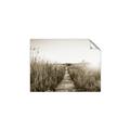 Picture of Field of Dreams   _GroupedProduct_Rectangle_Landscape_Photography _GroupedProduct_Rectangle_Landscape_Unframed_Print_Only_