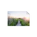 Picture of Field of Dreams   _GroupedProduct_Rectangle_Landscape_Photography _GroupedProduct_Rectangle_Landscape_Unframed_Print_Only_