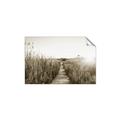 Picture of Field of Dreams   _GroupedProduct_Rectangle_Landscape_Photography _GroupedProduct_Rectangle_Landscape_Unframed_Print_Only_