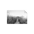 Picture of Field of Dreams   _GroupedProduct_Rectangle_Landscape_Photography _GroupedProduct_Rectangle_Landscape_Unframed_Print_Only_