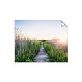 Picture of Field of Dreams   _GroupedProduct_Rectangle_Landscape_Photography _GroupedProduct_Rectangle_Landscape_Unframed_Print_Only_