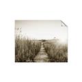 Picture of Field of Dreams   _GroupedProduct_Rectangle_Landscape_Photography _GroupedProduct_Rectangle_Landscape_Unframed_Print_Only_