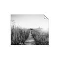 Picture of Field of Dreams   _GroupedProduct_Rectangle_Landscape_Photography _GroupedProduct_Rectangle_Landscape_Unframed_Print_Only_