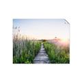 Picture of Field of Dreams   _GroupedProduct_Rectangle_Landscape_Photography _GroupedProduct_Rectangle_Landscape_Unframed_Print_Only_