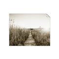 Picture of Field of Dreams   _GroupedProduct_Rectangle_Landscape_Photography _GroupedProduct_Rectangle_Landscape_Unframed_Print_Only_