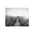 Picture of Field of Dreams   _GroupedProduct_Rectangle_Landscape_Photography _GroupedProduct_Rectangle_Landscape_Unframed_Print_Only_