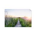 Picture of Field of Dreams   _GroupedProduct_Rectangle_Landscape_Photography _GroupedProduct_Rectangle_Landscape_Unframed_Print_Only_