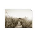 Picture of Field of Dreams   _GroupedProduct_Rectangle_Landscape_Photography _GroupedProduct_Rectangle_Landscape_Unframed_Print_Only_