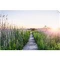 Picture of Field of Dreams   _GroupedProduct_Rectangle_Landscape_Photography _GroupedProduct_Rectangle_Landscape_Unframed_Print_Only_