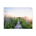 Picture of Field of Dreams   _GroupedProduct_Rectangle_Landscape_Photography _GroupedProduct_Rectangle_Landscape_Unframed_Print_Only_