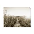 Picture of Field of Dreams   _GroupedProduct_Rectangle_Landscape_Photography _GroupedProduct_Rectangle_Landscape_Unframed_Print_Only_