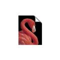 Picture of Flamingo Flame _GroupedProduct_Rectangle_Portrait_Photography _GroupedProduct_Rectangle_Portrait_Unframed_Print_Only_