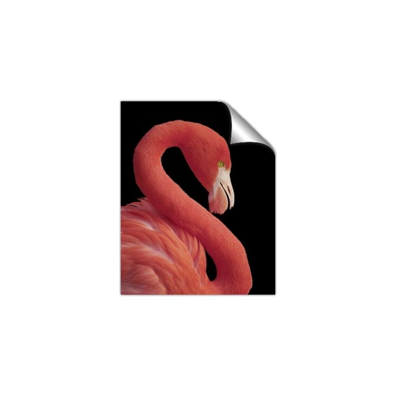 Picture of Flamingo Flame _GroupedProduct_Rectangle_Portrait_Photography _GroupedProduct_Rectangle_Portrait_Unframed_Print_Only_