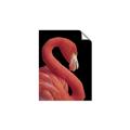 Picture of Flamingo Flame _GroupedProduct_Rectangle_Portrait_Photography _GroupedProduct_Rectangle_Portrait_Unframed_Print_Only_