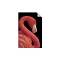 Picture of Flamingo Flame _GroupedProduct_Rectangle_Portrait_Photography _GroupedProduct_Rectangle_Portrait_Unframed_Print_Only_