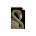 Picture of Flamingo Flame _GroupedProduct_Rectangle_Portrait_Photography _GroupedProduct_Rectangle_Portrait_Unframed_Print_Only_