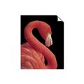 Picture of Flamingo Flame _GroupedProduct_Rectangle_Portrait_Photography _GroupedProduct_Rectangle_Portrait_Unframed_Print_Only_