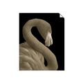 Picture of Flamingo Flame _GroupedProduct_Rectangle_Portrait_Photography _GroupedProduct_Rectangle_Portrait_Unframed_Print_Only_