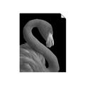 Picture of Flamingo Flame _GroupedProduct_Rectangle_Portrait_Photography _GroupedProduct_Rectangle_Portrait_Unframed_Print_Only_