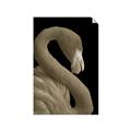Picture of Flamingo Flame _GroupedProduct_Rectangle_Portrait_Photography _GroupedProduct_Rectangle_Portrait_Unframed_Print_Only_
