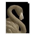 Picture of Flamingo Flame _GroupedProduct_Rectangle_Portrait_Photography _GroupedProduct_Rectangle_Portrait_Unframed_Print_Only_