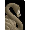 Picture of Flamingo Flame _GroupedProduct_Rectangle_Portrait_Photography _GroupedProduct_Rectangle_Portrait_Unframed_Print_Only_