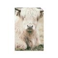 Picture of Furry Cow _GroupedProduct_Rectangle_Portrait_Photography _GroupedProduct_Rectangle_Portrait_Unframed_Print_Only_