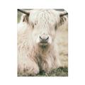 Picture of Furry Cow _GroupedProduct_Rectangle_Portrait_Photography _GroupedProduct_Rectangle_Portrait_Unframed_Print_Only_