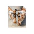 Picture of Giraffe Pals  _GroupedProduct_Rectangle_Portrait_Photography _GroupedProduct_Rectangle_Portrait_Unframed_Print_Only_