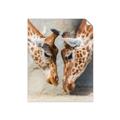 Picture of Giraffe Pals  _GroupedProduct_Rectangle_Portrait_Photography _GroupedProduct_Rectangle_Portrait_Unframed_Print_Only_
