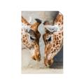 Picture of Giraffe Pals  _GroupedProduct_Rectangle_Portrait_Photography _GroupedProduct_Rectangle_Portrait_Unframed_Print_Only_