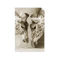 Picture of Giraffe Pals  _GroupedProduct_Rectangle_Portrait_Photography _GroupedProduct_Rectangle_Portrait_Unframed_Print_Only_